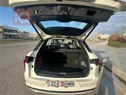 دونج فينج فينوسيا